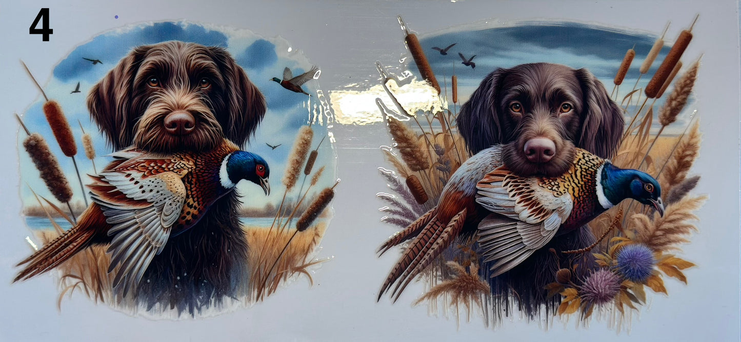 Chien de chasse