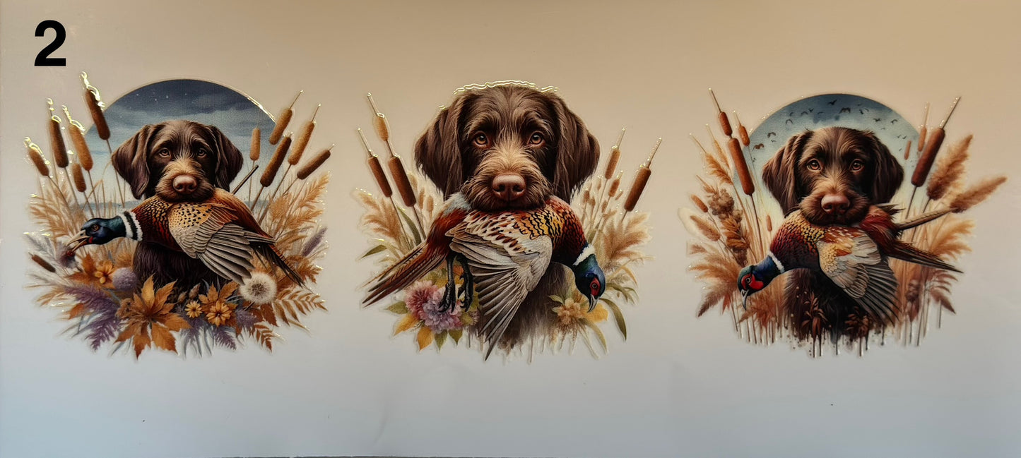 Chien de chasse