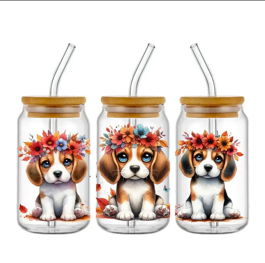 Chien Beagle orange