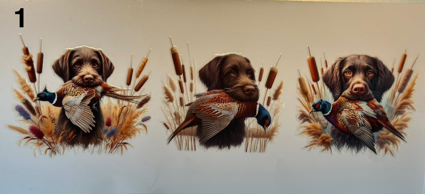 Chien de chasse