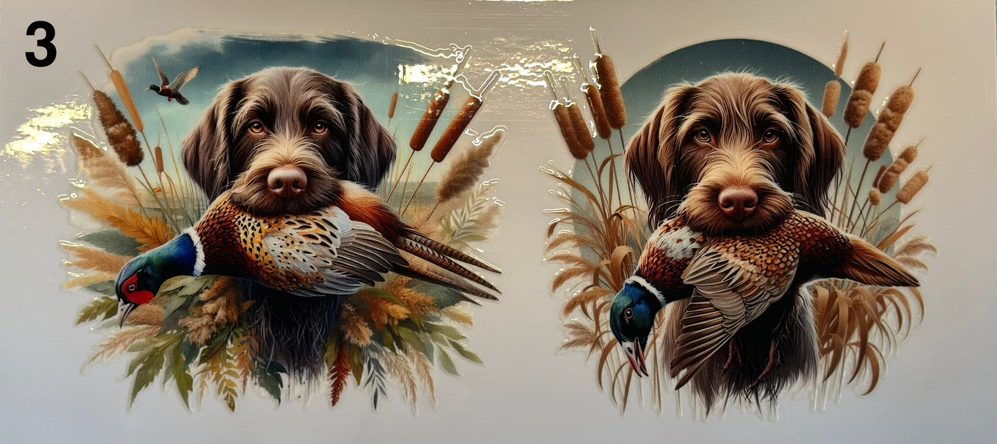 Chien de chasse